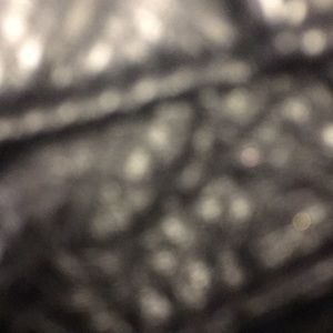 Meet your Posher, Sergio